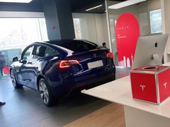 -TESLA 特斯拉(郑州正弘城体验店)