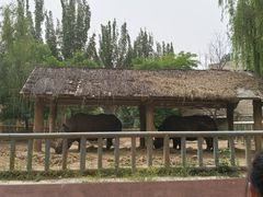 -石家庄市动物园