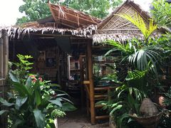 -Jungle Kitchen
