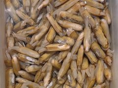 -宾朋海鲜饭庄(兴海路店)