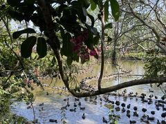 -海南热带野生动植物园