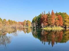 -贡湖湾湿地公园