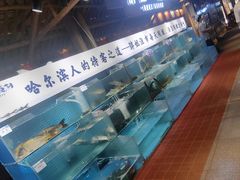 -胖姐渔村(中源大道店)