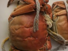 -上海齐鲁万怡大酒店·辣椒屋咖啡厅