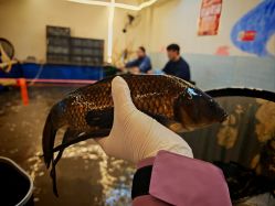 -巡鱼道·室内垂钓·渔具店