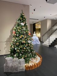 -MuseMarry婚纱(前海嘉里中心店)