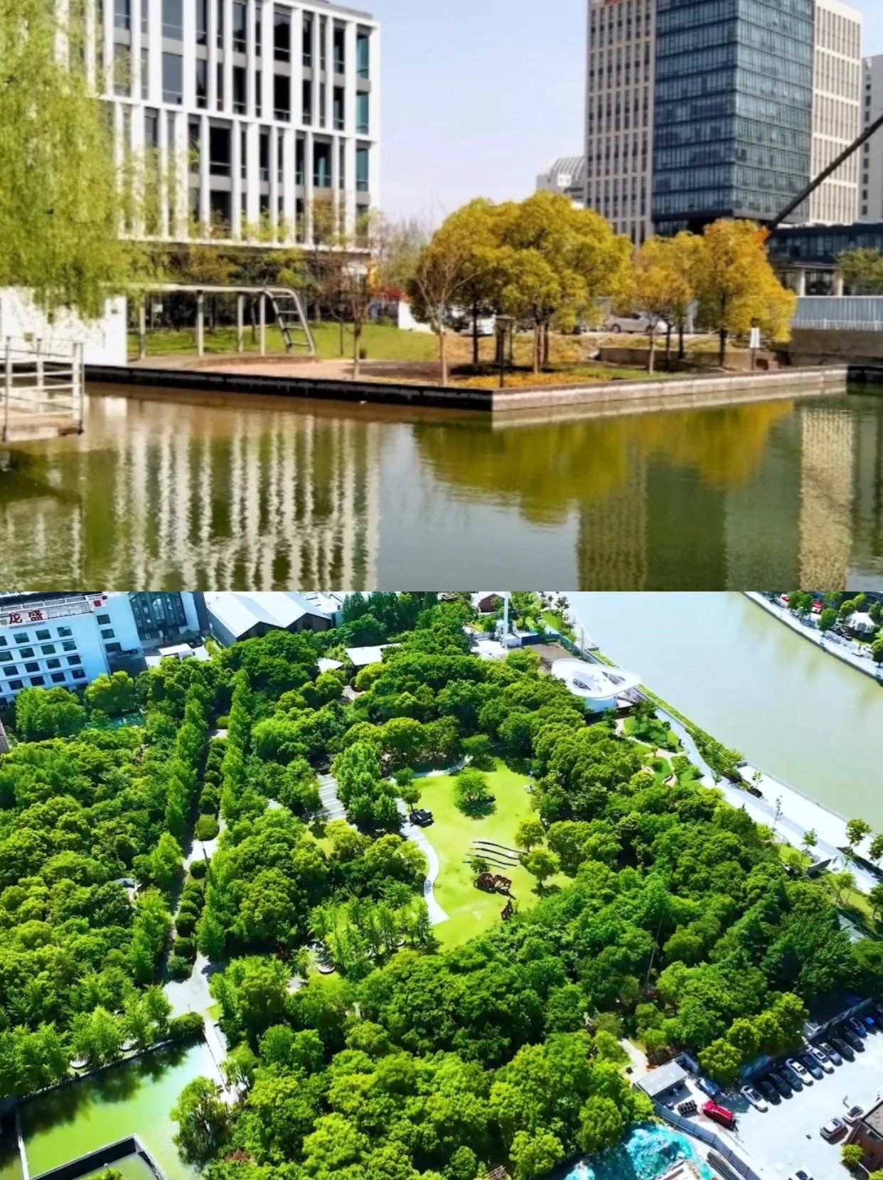 宝山的一个小众公园,智力公园