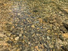 -碓臼峪自然风景区