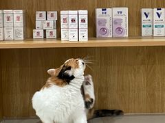 -佑安动物医院·全科·内窥镜中心(幸福巷店)