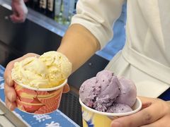 -半岛听涛蒸汽海鲜自助(K11店)