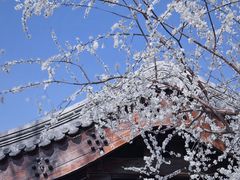 -三里河公园