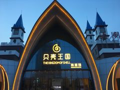 -贝壳王国博物馆
