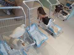 -怪兽屋·羊驼·猫咖·狗咖(俊华广场店)