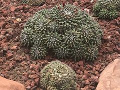 -南通洲际绿博园