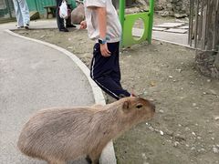 -成都欢乐谷