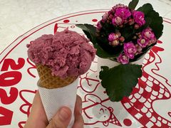 -莉莉熊Lililove Gelato (意大利手工冰淇淋)