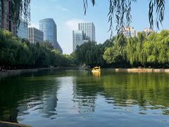 -团结湖公园