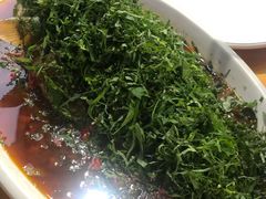 -老字号怡玺·藿香雅鱼(20年雅安店)