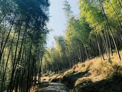 -广州市石门国家森林公园