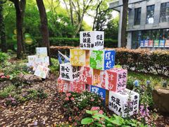 -上海共青森林公园