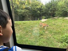 -西安秦岭野生动物园