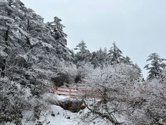 -峨眉山风景名胜区