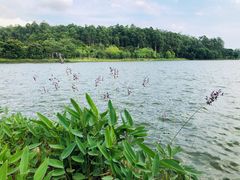 -南国桃园旅游度假区