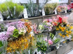 -鹿岛生活(熙地港店)