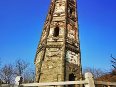 -上海佘山国家森林公园天马山园