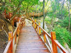 -大岭沟猕猴桃谷风景区