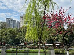 -成都市活水公园