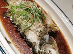 清蒸鲈鱼-宏宴·新京菜(望京店)