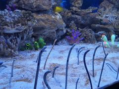 -成都浩海立方海洋公园