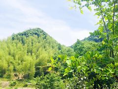 -水墨汀溪风景区