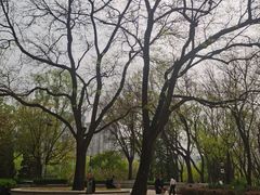 -玲珑塔公园