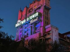 -奥兰多迪士尼动物王国乐园