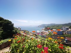 -枸杞岛