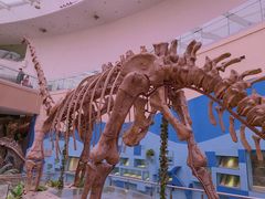 -陕西自然博物馆