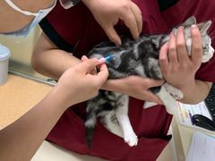 -宠颐生中康贝怡动物医院