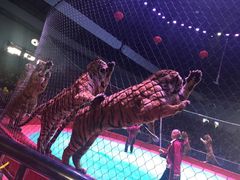 -西安秦岭野生动物园