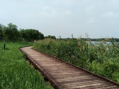 -西青郊野公园