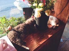 -B.O.M波姆烘焙(凤凰街店)