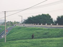 -乌龙涧铁道铁轨景