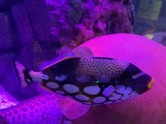 -沈阳海洋探索中心