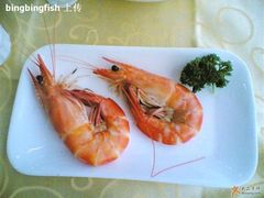 盐水大虾-海岛渔村大酒店(云霄路店)
