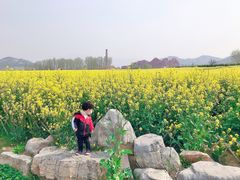 -西海岸生态观光园