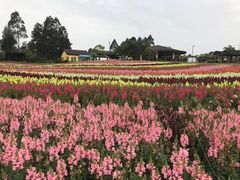 -保利石象湖景区