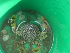 -嵊泗基湖沙滩
