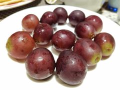 -上海虹桥迎宾馆