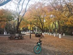-山东大学(趵突泉校区)